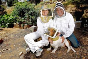 Therese McLaughlin, Adam Novicki, and  their basset hound, Thurston Howl, outfitted for beekeeping.
